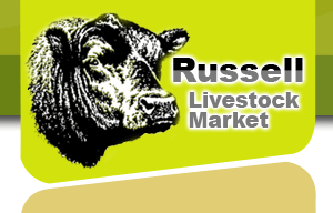 Russell Livestock